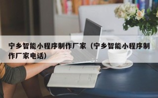 张家口宁乡智能小程序制作厂家（宁乡智能小程序制作厂家电话）
